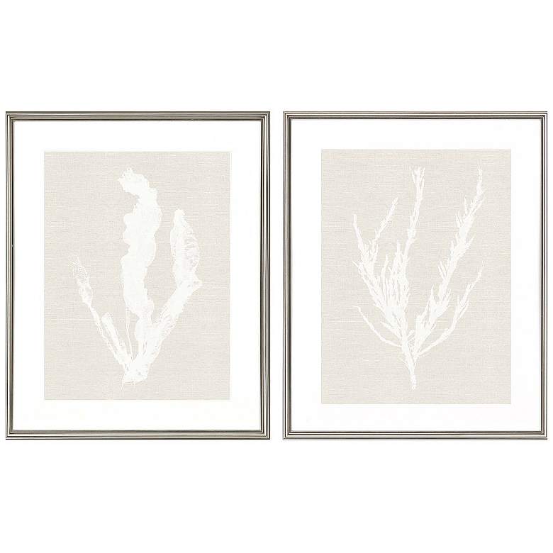 Image 1 Seaweed 25"W x 31"H Framed Art Set of 2