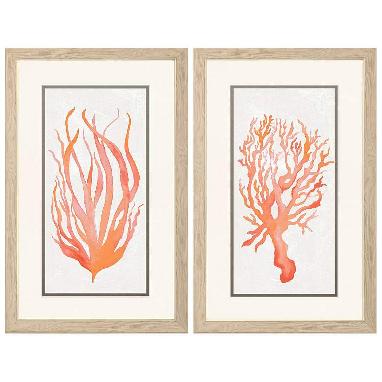 Image 1 Seaweed Coral 21"W x 33"H Framed Art Set of 2