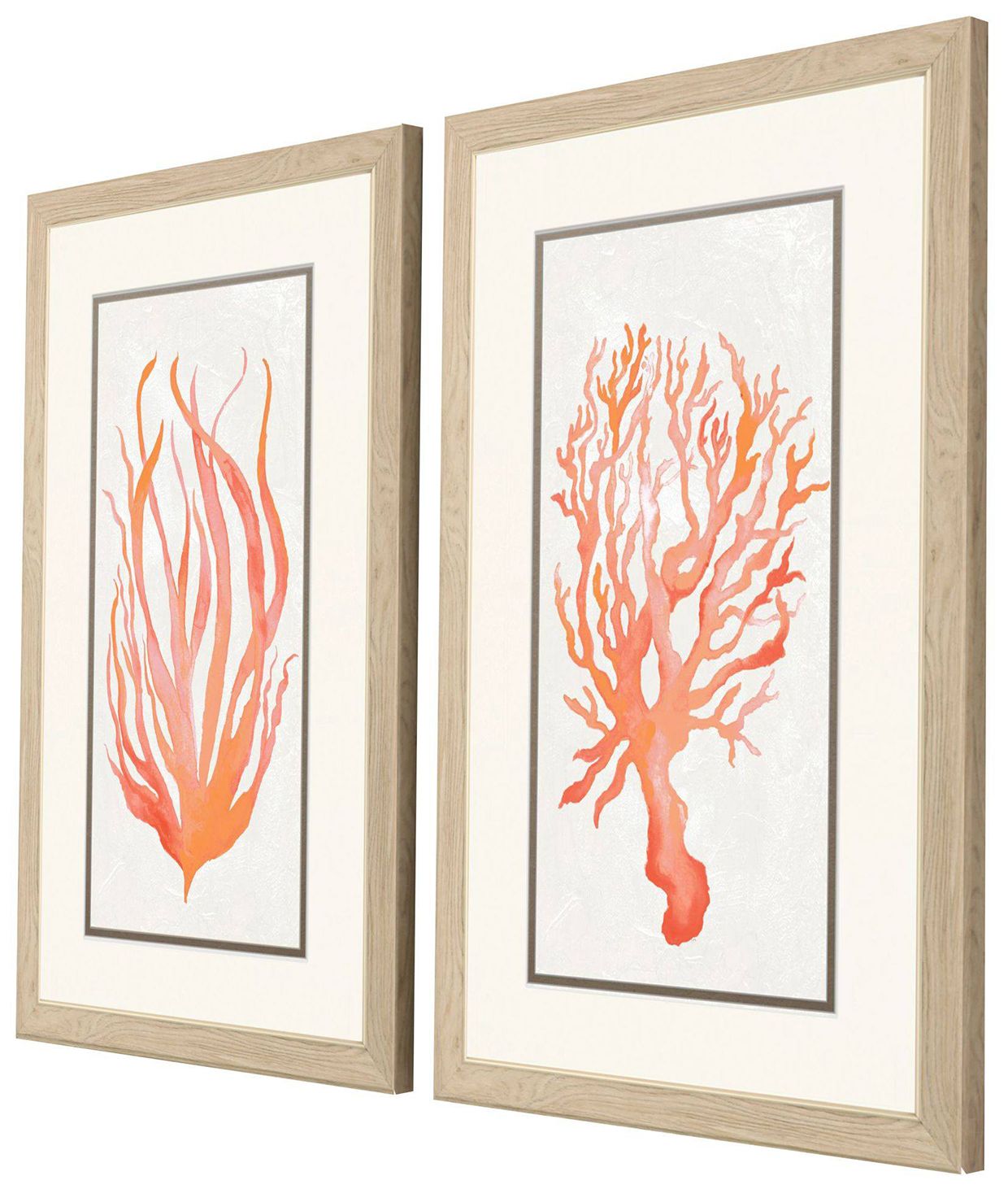 Image 2 Seaweed Coral 21"W x 33"H Framed Art Set of 2 more views