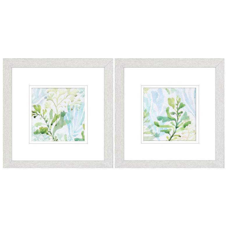Image 1 Seaweed Scramble 11"W x 11"H Framed Art Set of 2