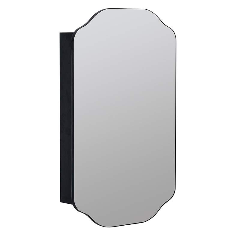 Image 2 Sebastian Black 21" x 34" Medicine Cabinet with Mirror more views
