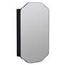2_Sebastian Black 21" x 34" Medicine Cabinet with Mirror more views