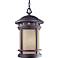 Sedona 19"H Amber Glass Bronze Outdoor Hanging Light