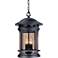 Sedona 19"H Seedy Glass Bronze Outdoor Hanging Light