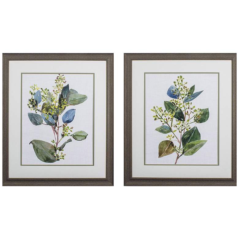 Image 1 Seeded Eucalyptus 24"W x 28"H Framed Art Set of 2