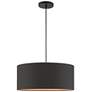 3_Sentosa 18" Wide Black Drum Pendant Light
