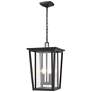 Seoul by Z-Lite Oil Rubbed Bronze 2 Light Outdoor Chain Ceiling Fixture