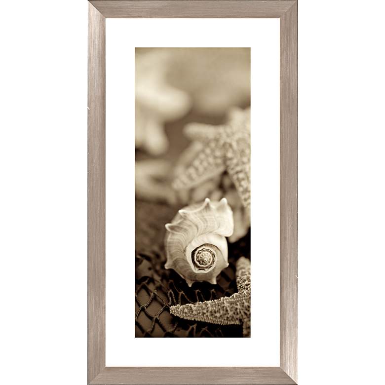 Image 1 Sepia Seashells I 26 1/2 inch High Photograph Giclee Wall Art