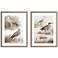 Sepia Waterbirds II 31"H 2-Piece Giclee Framed Wall Art Set