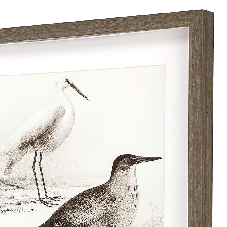 Image 3 Sepia Waterbirds II 31 inchH 2-Piece Giclee Framed Wall Art Set more views