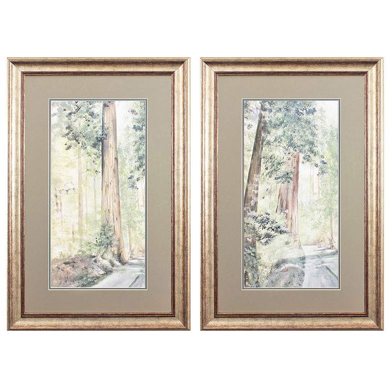 Image 1 Sequoia Panel 22"W x 34"H Framed Art Set of 2