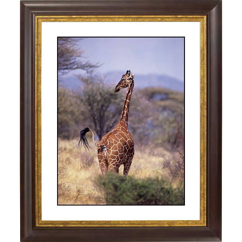 Image 1 Serengeti Giraffe Gold Bronze Frame Giclee 20 inch High Wall Art