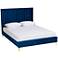 Serrano Navy Blue Velvet Fabric Tufted King Platform Bed