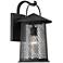 Serrington 15 1/2" High Black Mesh Outdoor Wall Light