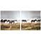 Set of 2 A Zeal of Zebras 19 3/4" Square Canvas Wall Art