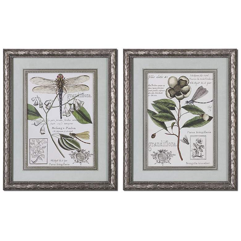 Image 1 Set of 2 Grandiflora 32 inch High Uttermost Floral Wall Art