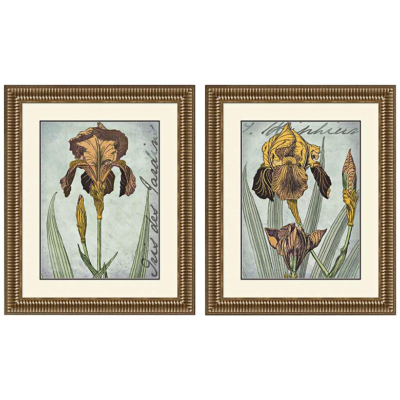 Image 1 Set of 2 Irises Golden 35 1/4 inch High Framed Art Prints