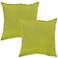 Set of 2 Kiwi Green Outdoor Accent Pillows