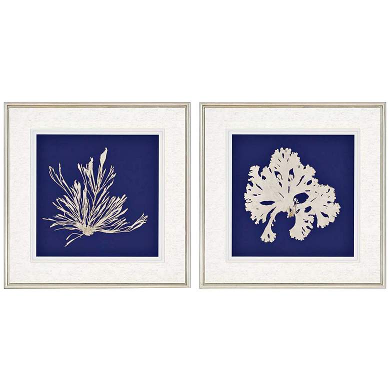 Image 1 Set of 2 Seaweed on Navy II 27" Square Coastal Wall Art