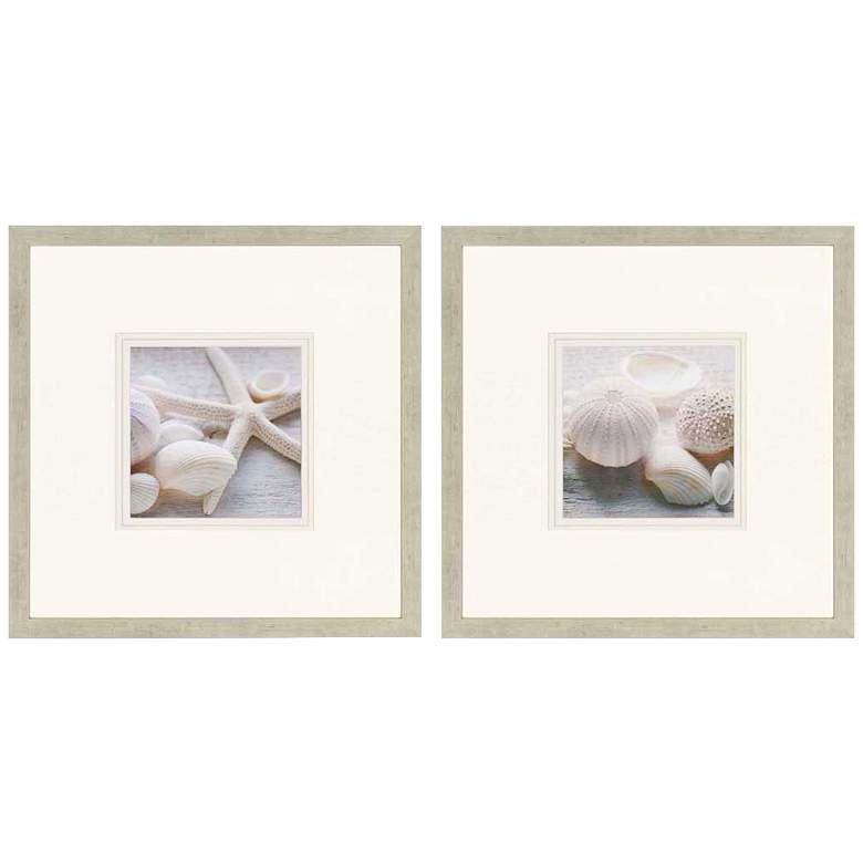 Image 1 Set of 2 Shells 29 inch Square Framed Wall Art 