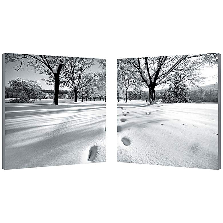 Image 1 Set of 2 Telltale Trail 19 3/4 inch Square Canvas Wall Art