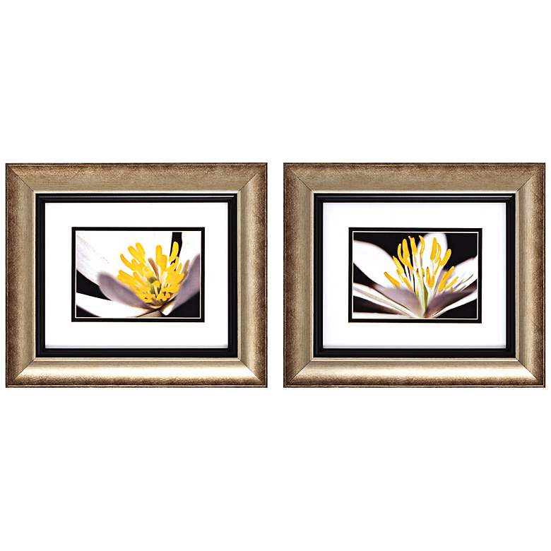 Image 1 Set of 2 White Poccoon I/II 14 inch Wide Floral Wall Art