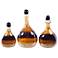 Set of 3 Goldcoast Decorative 20"H Glass Bottles with Tops