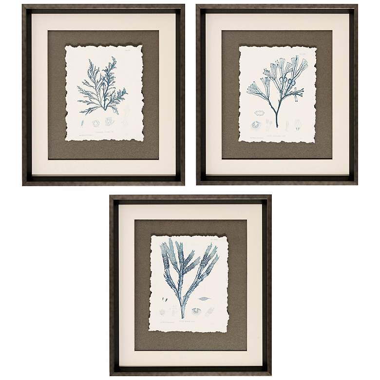 Image 1 Set of 3 Nature I/III/IV 20 inch High Floral Wall Art
