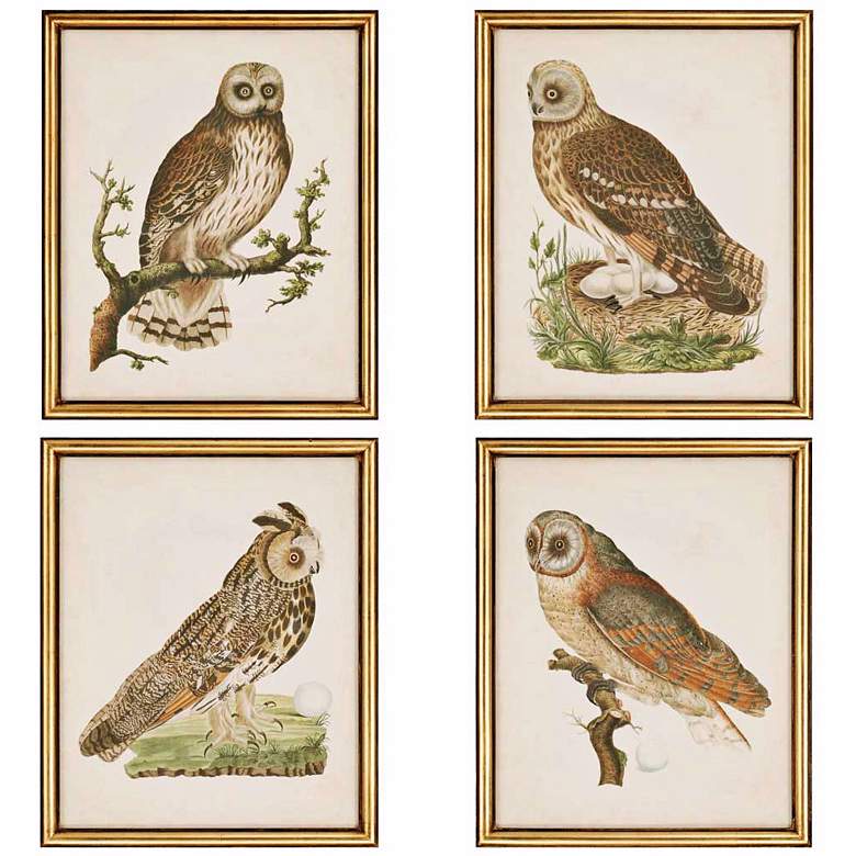 Image 1 Set of 4 Nozeman Owls Wall Art Prints