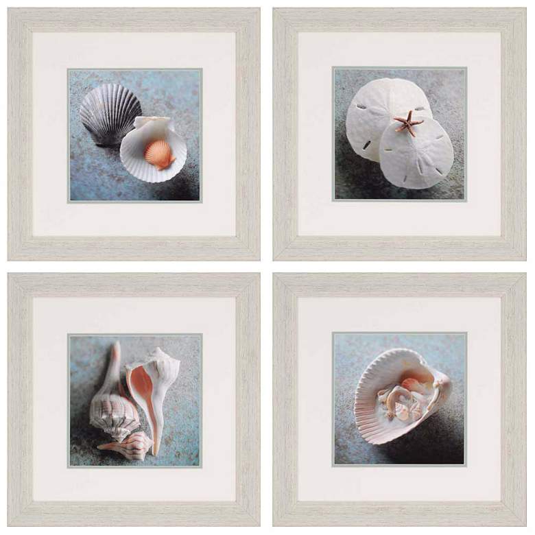Image 1 Set of 4 Sea Collection 23 inch Square Shell Wall Art Prints
