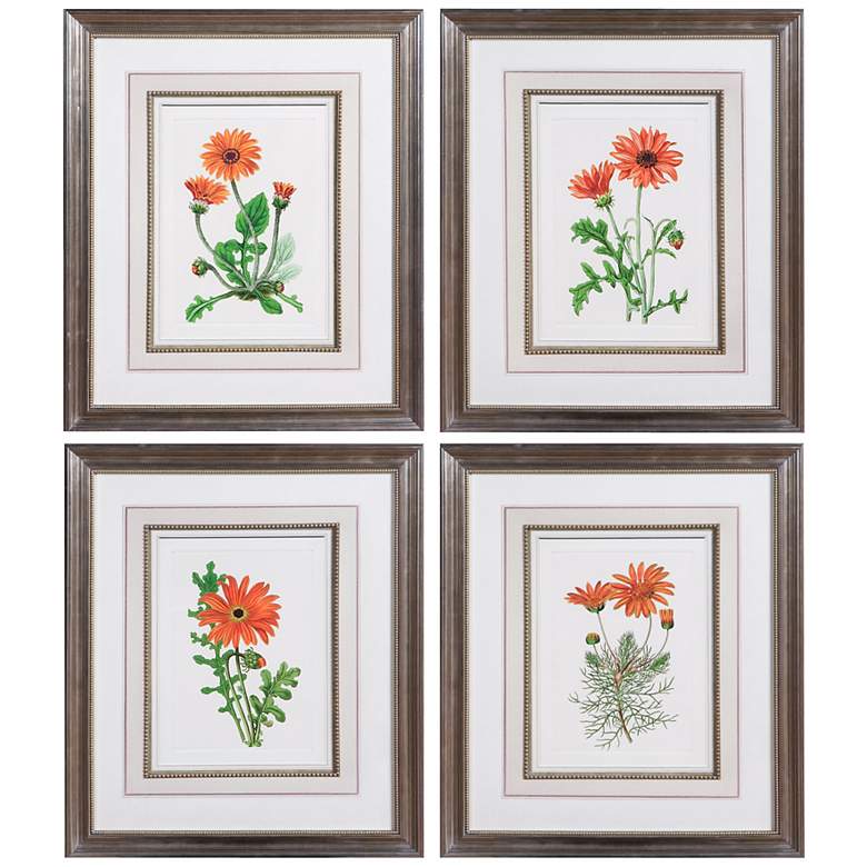 Image 1 Set of 4 Uttermost Orange Flowers I-IV Framed Wall Art