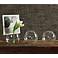 Set of 8 Mini Glass Bubble Placecard Holders