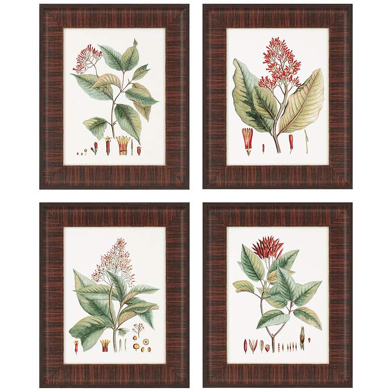 Image 1 Set of Four Crimson Botanical Framed Wall Art