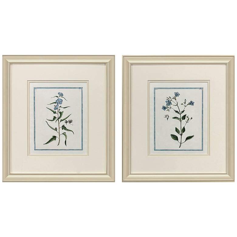 Image 1 Shabby Chic Botanical 15"W x 17"H Traditional Framed Art Set of 2