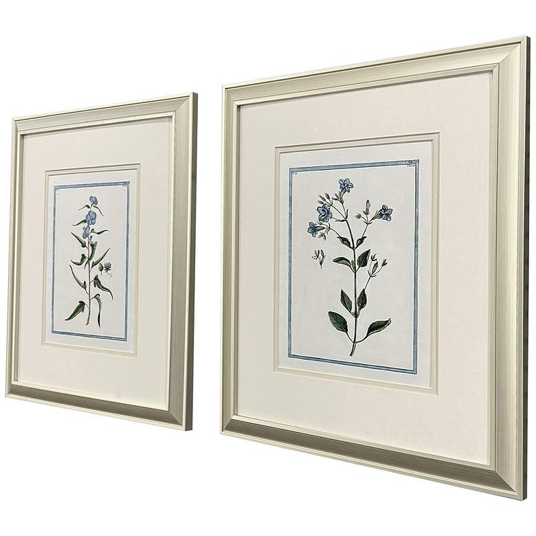 Image 2 Shabby Chic Botanical 15"W x 17"H Traditional Framed Art Set of 2 more views