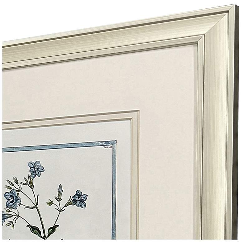 Image 3 Shabby Chic Botanical 15"W x 17"H Traditional Framed Art Set of 2 more views