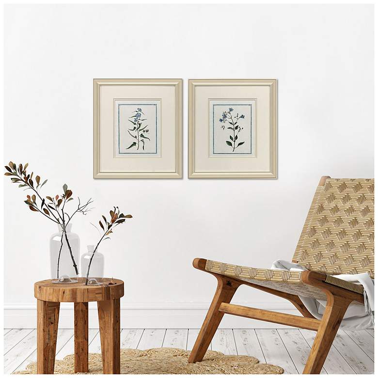 Image 4 Shabby Chic Botanical 15"W x 17"H Traditional Framed Art Set of 2 more views