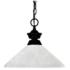 Shark by Z-Lite Matte Black 1 Light Pendant