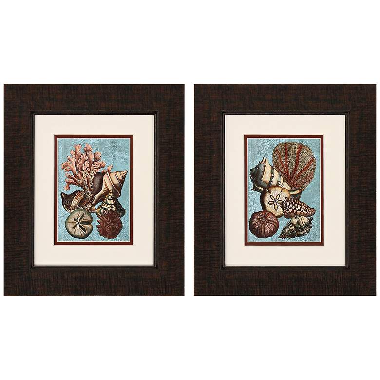 Image 1 Shell and Coral Aqua 2-Piece 14 inch High Framed Wall Art Set