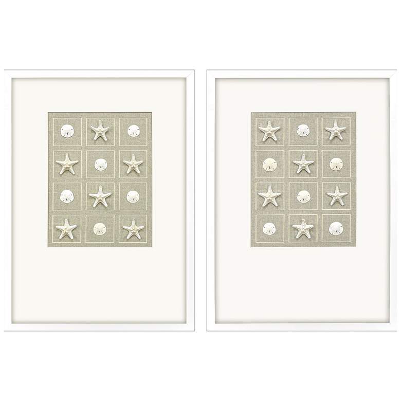 Image 1 Shell Collection 19"W x 26"H Coastal Framed Art Set of 2