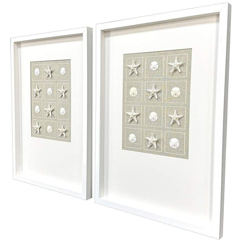 Image 2 Shell Collection 19"W x 26"H Coastal Framed Art Set of 2 more views