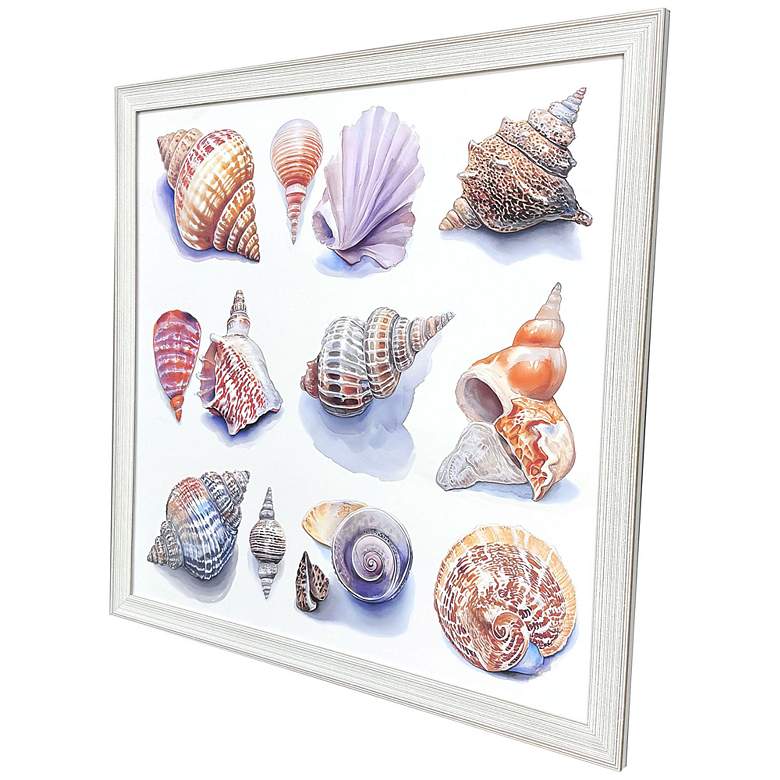 Image 2 Shell Factory I 33"W x 33"H Coastal Framed Art more views