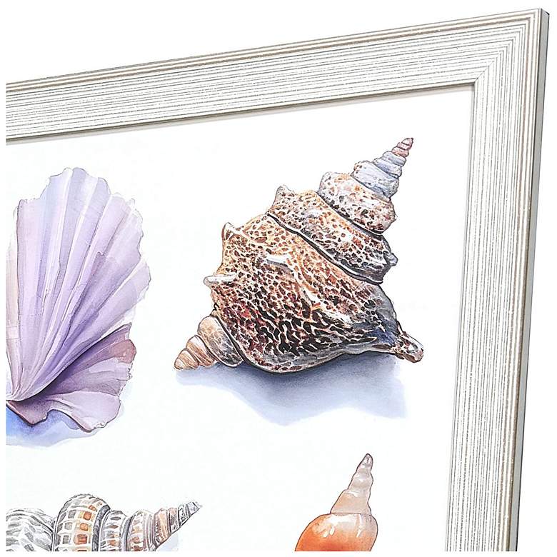 Image 3 Shell Factory I 33"W x 33"H Coastal Framed Art more views