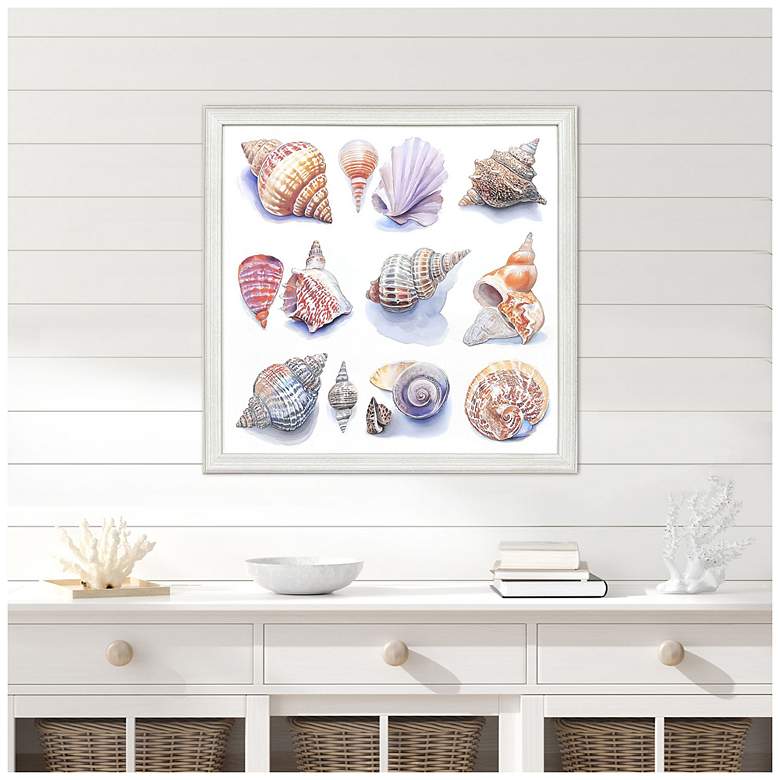Image 4 Shell Factory I 33"W x 33"H Coastal Framed Art more views