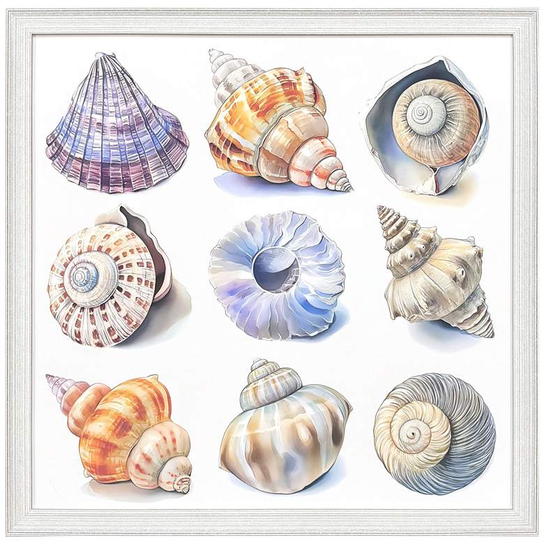 Image 1 Shell Factory II 33"W x 33"H Coastal Framed Art