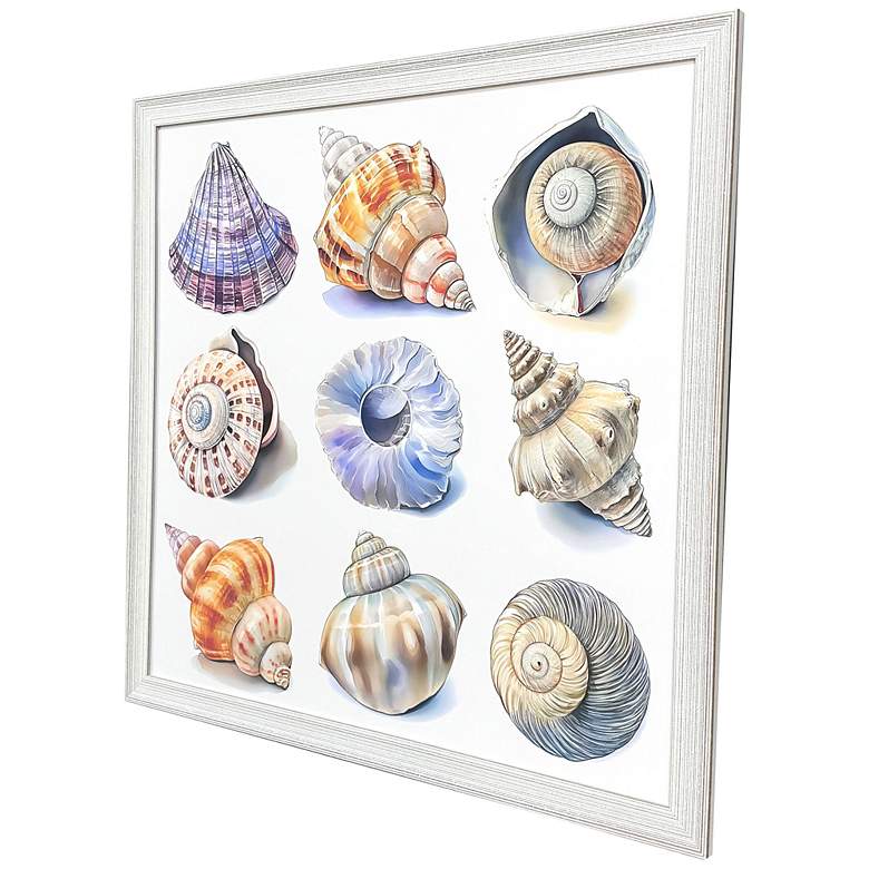 Image 2 Shell Factory II 33"W x 33"H Coastal Framed Art more views