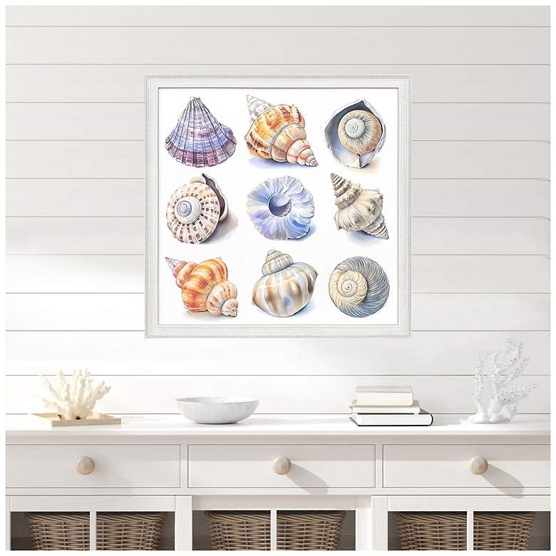 Image 4 Shell Factory II 33"W x 33"H Coastal Framed Art more views