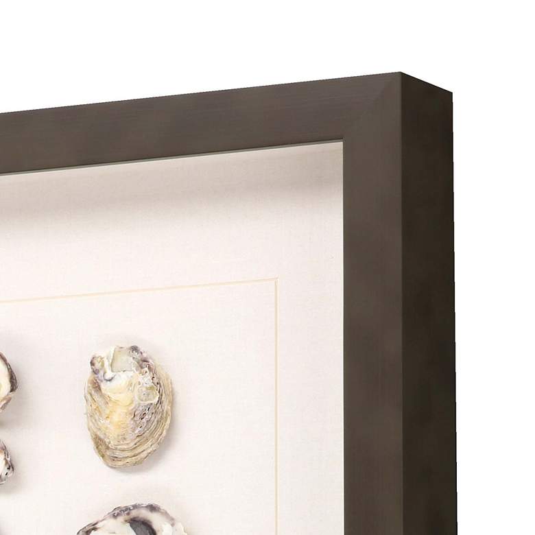 Image 3 Shell Series 18 inch High 2-Piece Shadow Box Framed Wall Art Set more views