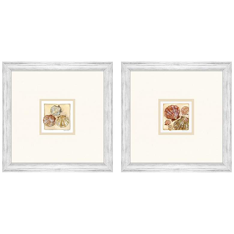 Image 3 Shell Study 19 inch Square 2-Piece Giclee Framed Wall Art Set