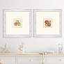 Shell Study 19" Square 2-Piece Giclee Framed Wall Art Set in scene